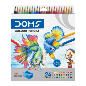 Colour Pencil - Pack Of 24 Shades