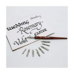 Calligraphy Dip Pen Set Signature 10pc