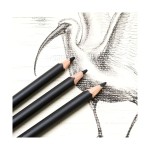 Charcoal Pencils Signature 12pc