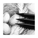 Woodless Charcoal Pencils Signature 3pce