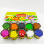 Acrylic Sunflower Kit 10 Shades Color