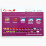 Camel Artist Oil Pastels 25 Shades