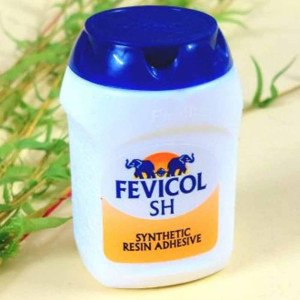 Fevicol SH Synthetic Resin Adhesive (Glue) - 250 gm