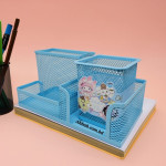 Kawaii Mesh Organizer + Pen Holder