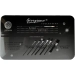 Giorgione Best Quality Artist Brush set 8 pc set with iron box