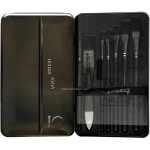 Giorgione Best Quality Artist Brush set 8 pc set with iron box