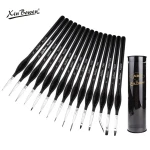 Xinbowen Premium Quality Silver body 15pc Detail liner Brush set